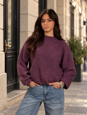 Pull Filou prune